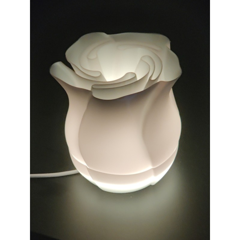Lampe LED Rose 3D avec 16 Couleurs