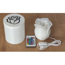 Lampe LED Rose 3D avec 16 Couleurs