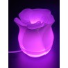 Lampe LED Rose 3D avec 16 Couleurs