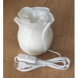 Lampe LED Rose 3D avec 16 Couleurs