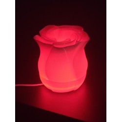 Lampe LED Rose 3D avec 16 Couleurs