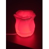 Lampe LED Rose 3D avec 16 Couleurs