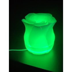 Lampe LED Rose 3D avec 16 Couleurs