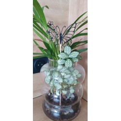 pique papillon fleur