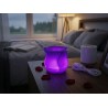 lampe de chevet en forme de rose